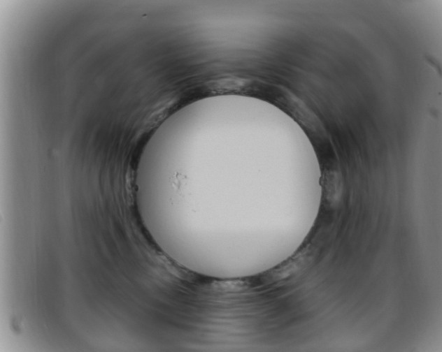 X0000096730378200802051134