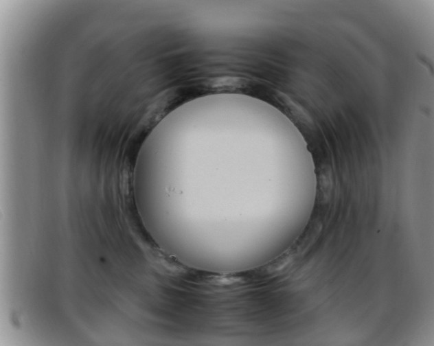 X0000096730379200802051134