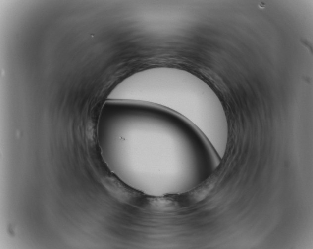 X0000096730380200802051134