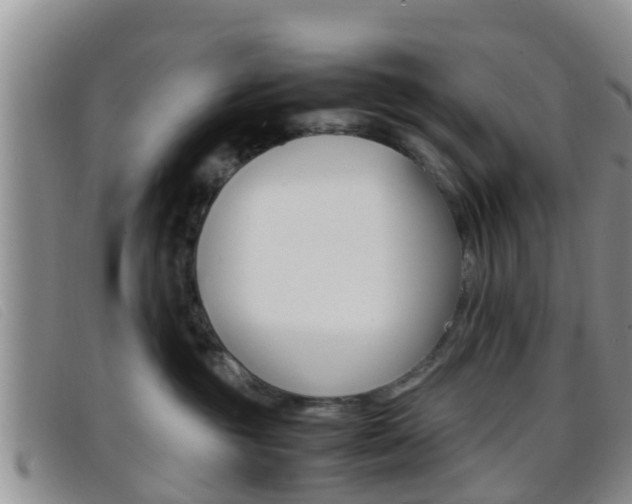 X0000096730381200802051134