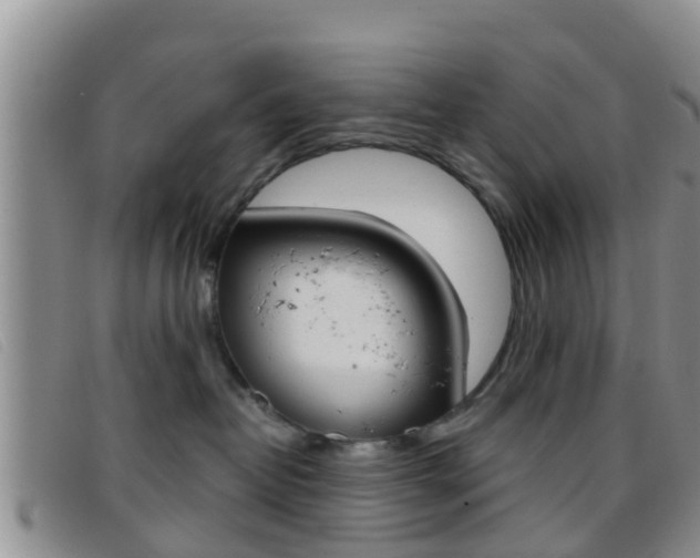 X0000096730382200802051134