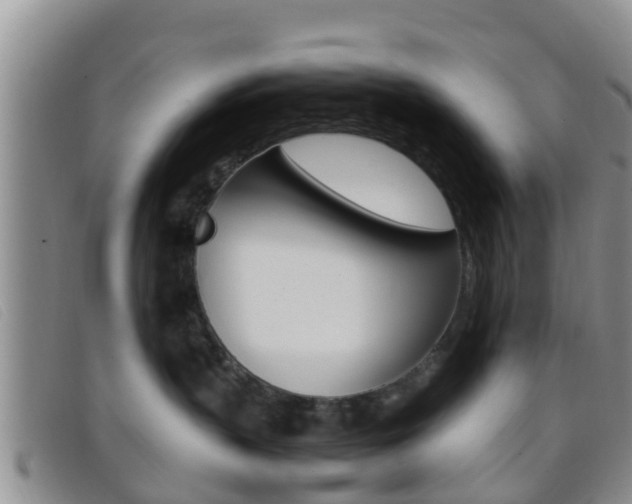 X0000096730383200802051135