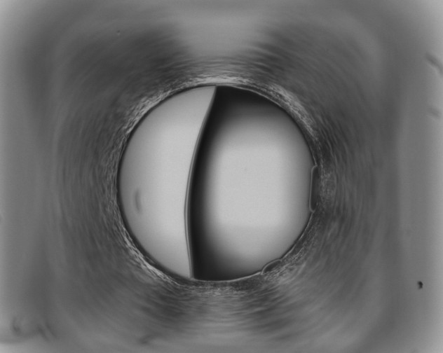 X0000096730385200802051134