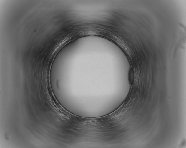 X0000096730386200802051134