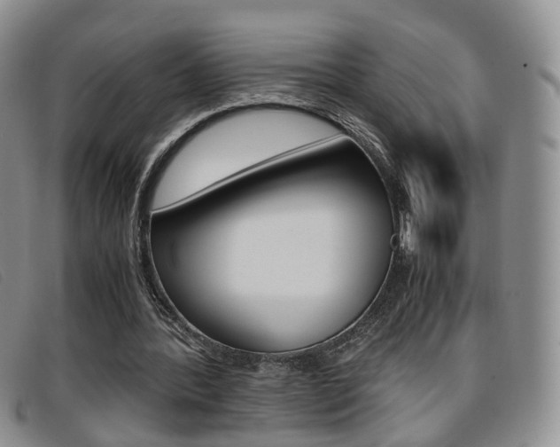 X0000096730388200802051134