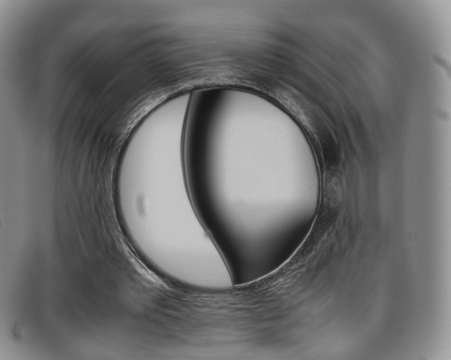 X0000096730389200802051134
