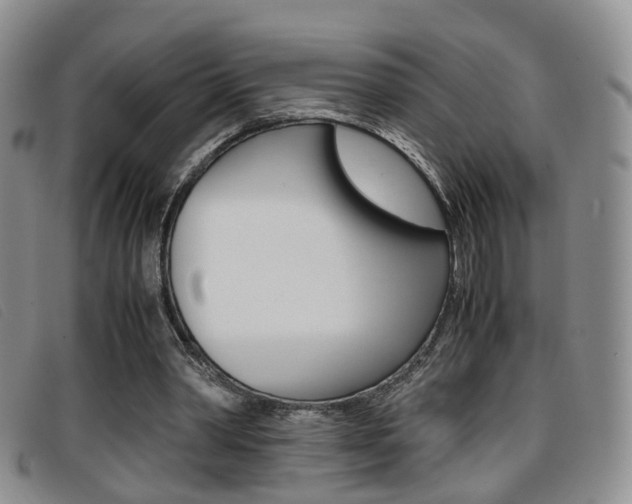 X0000096730390200802051134