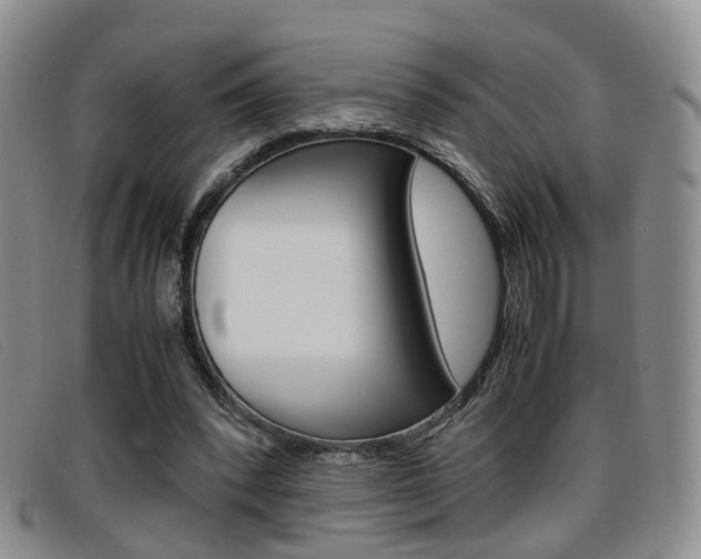 X0000096730392200802051134