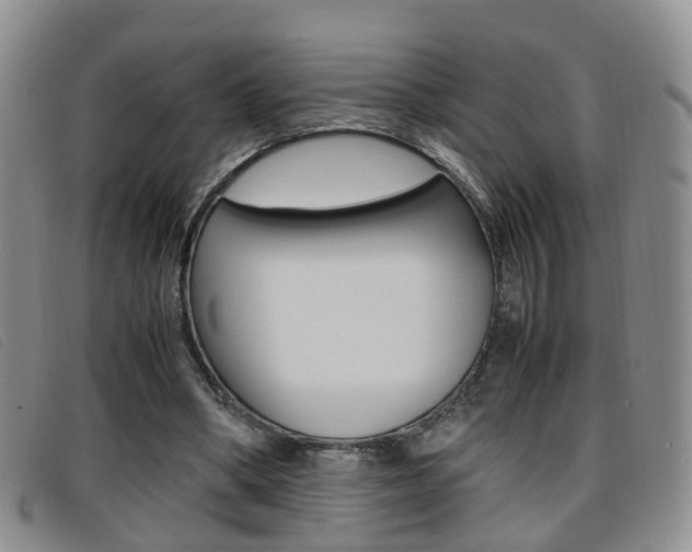 X0000096730394200802051134