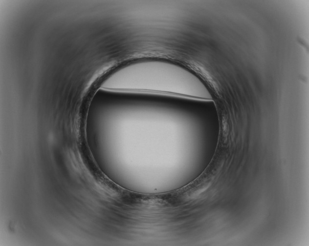 X0000096730396200802051134