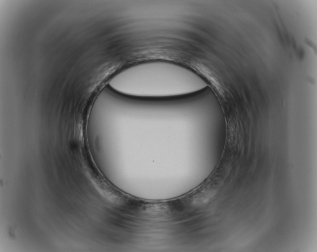 X0000096730398200802051134