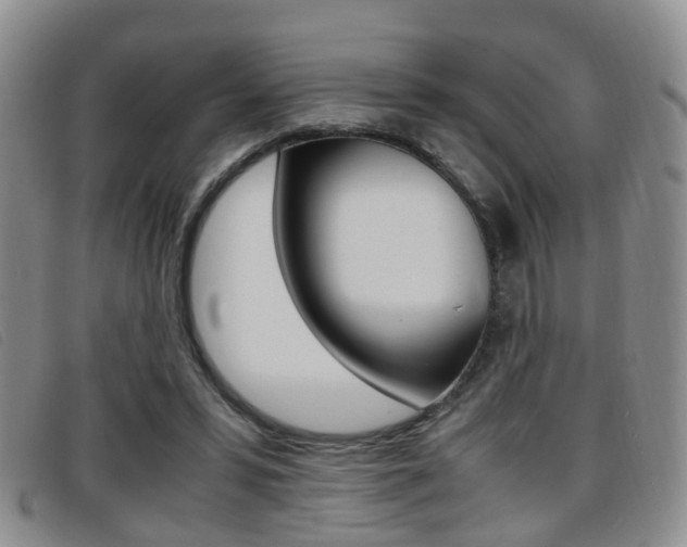 X0000096730399200802051134