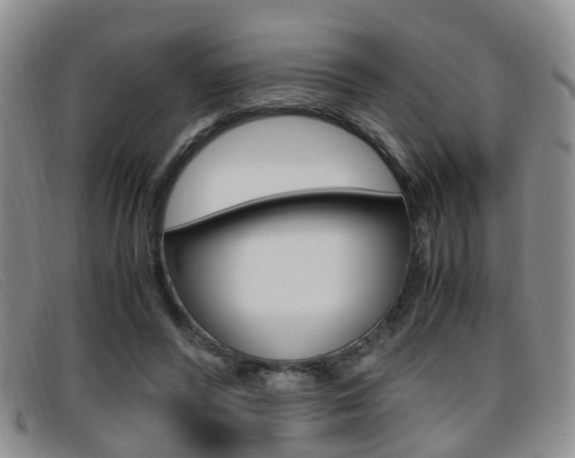 X0000096730400200802051134
