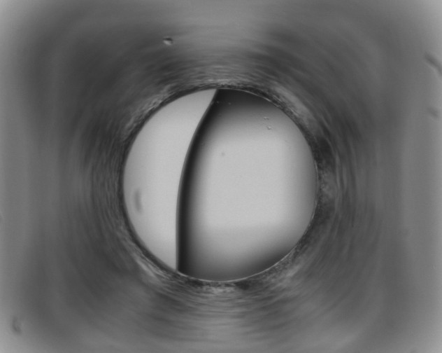X0000096730401200802051134