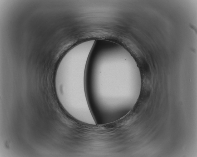 X0000096730403200802051134