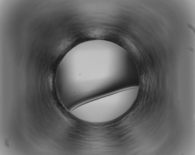 X0000096730404200802051134