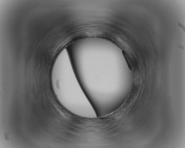 X0000096730405200802051134