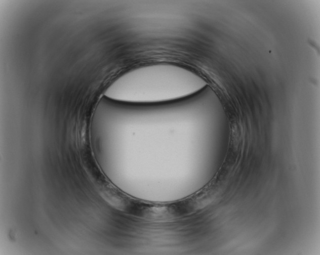 X0000096730406200802051134