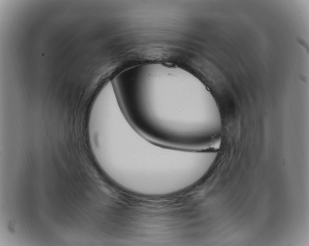 X0000096730407200802051134