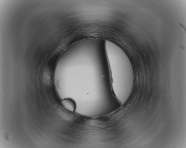 X0000096730408200802051134