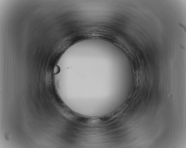 X0000096730410200802051134