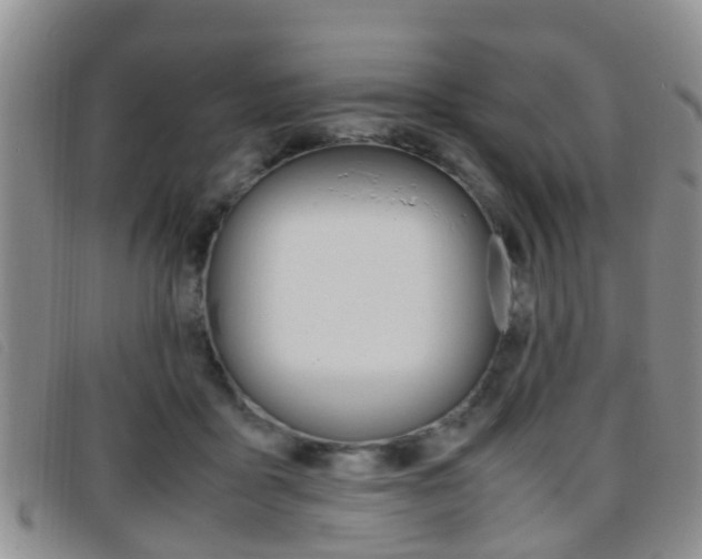 X0000096730411200802051134
