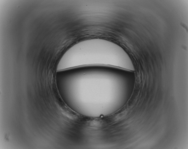 X0000096730412200802051133