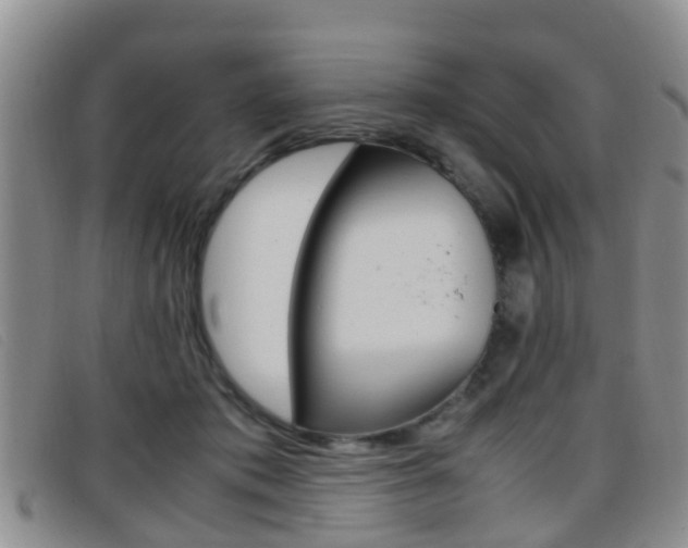 X0000096730413200802051133