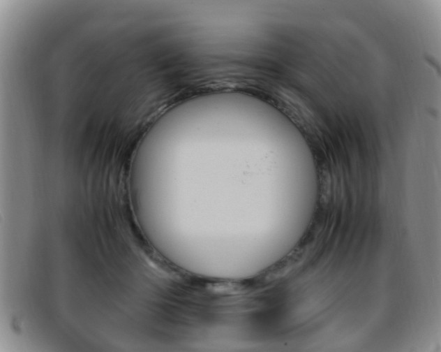 X0000096730414200802051133