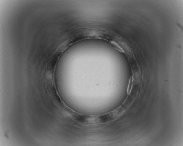 X0000096730415200802051133