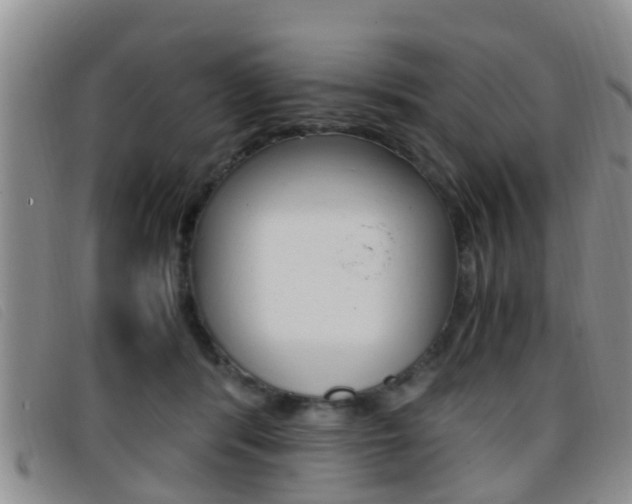 X0000096730416200802051133