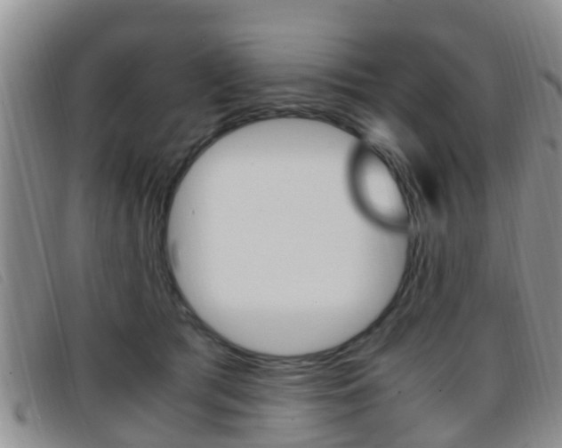 X0000096730417200802051133