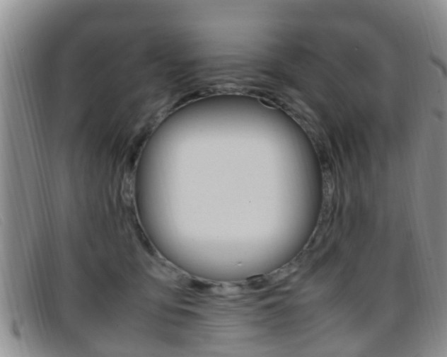 X0000096730419200802051133
