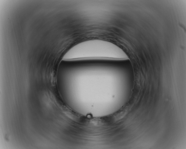 X0000096730420200802051133