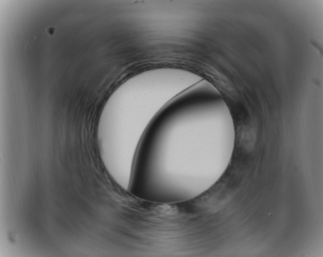X0000096730421200802051133