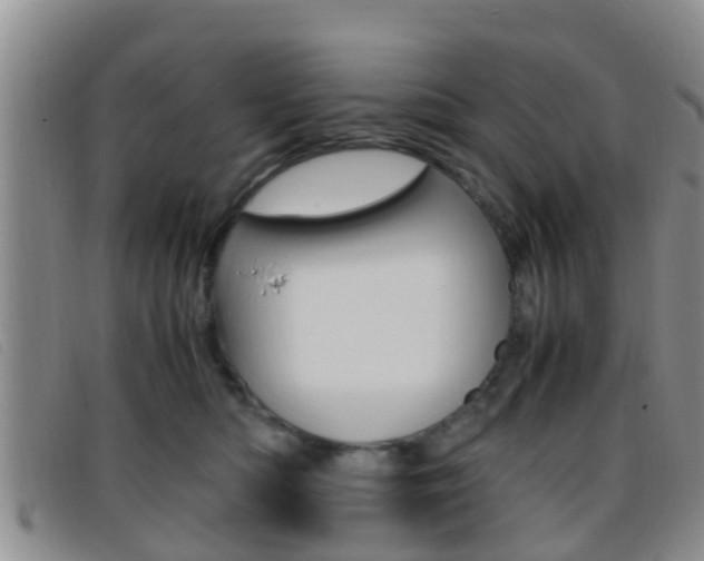 X0000096730422200802051133