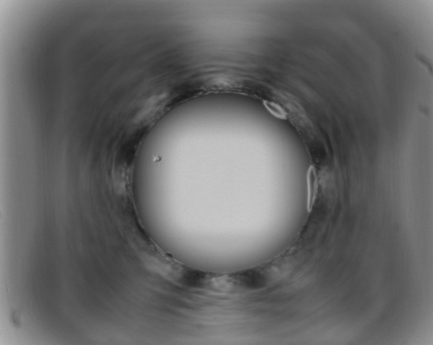 X0000096730423200802051133