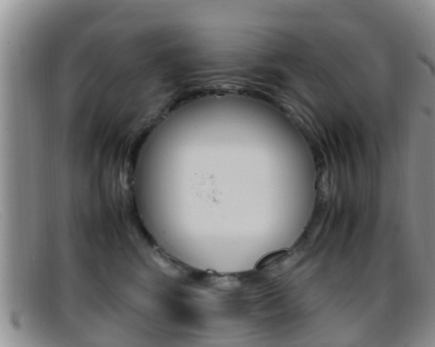 X0000096730424200802051133
