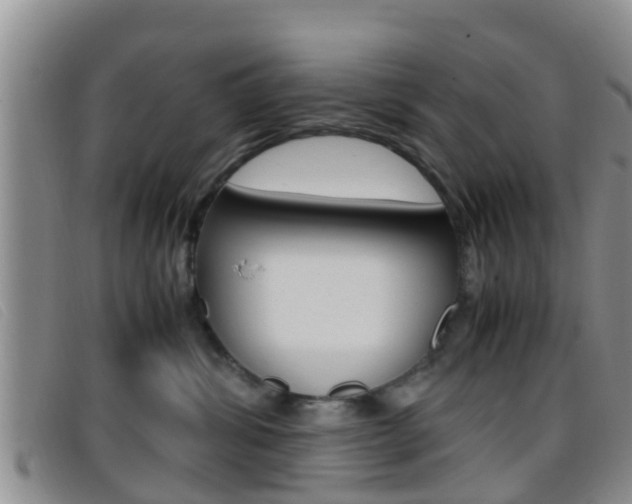 X0000096730428200802051133