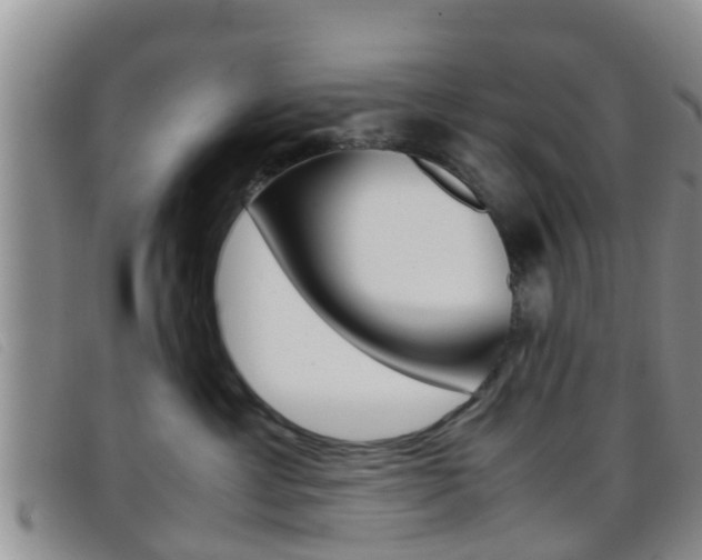 X0000096730429200802051133
