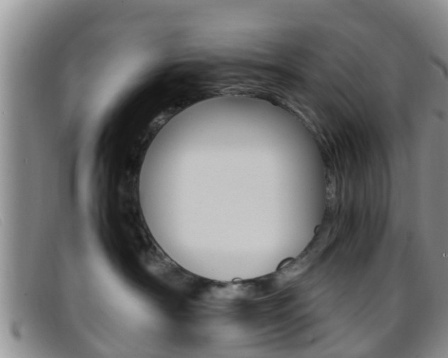 X0000096730430200802051133
