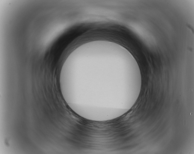 X0000096730431200802051133
