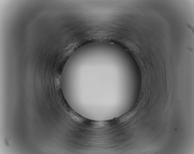 X0000096730432200802051133