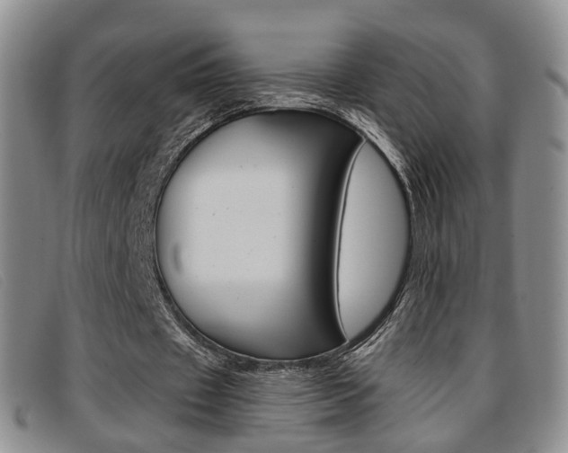 X0000096730433200802051133
