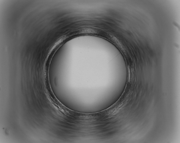 X0000096730435200802051133