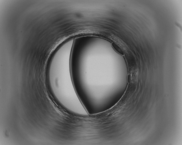 X0000096730436200802051133