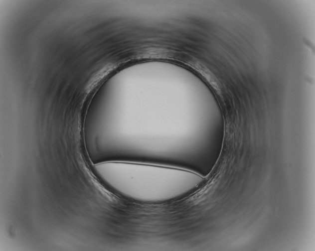 X0000096730437200802051133