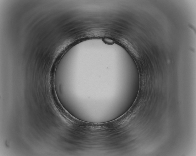 X0000096730439200802051133