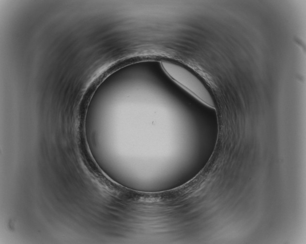 X0000096730440200802051133