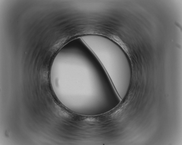 X0000096730441200802051133